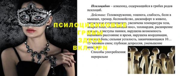 Альфа ПВП Елизово