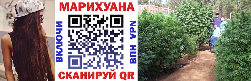 Купить закладки  Большой Камень  Конопля индика 